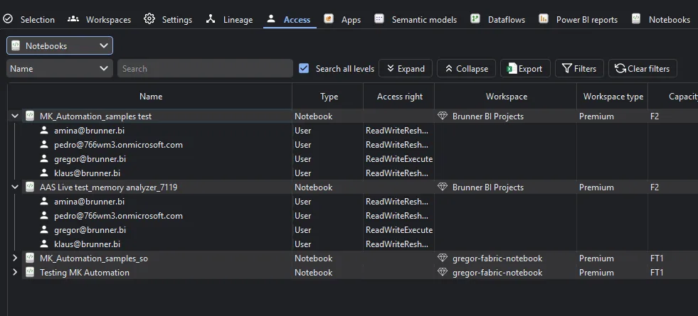 Access tab — Notebooks view showing each Fabric notebook with per-user access rights, workspace, workspace type, and capacity